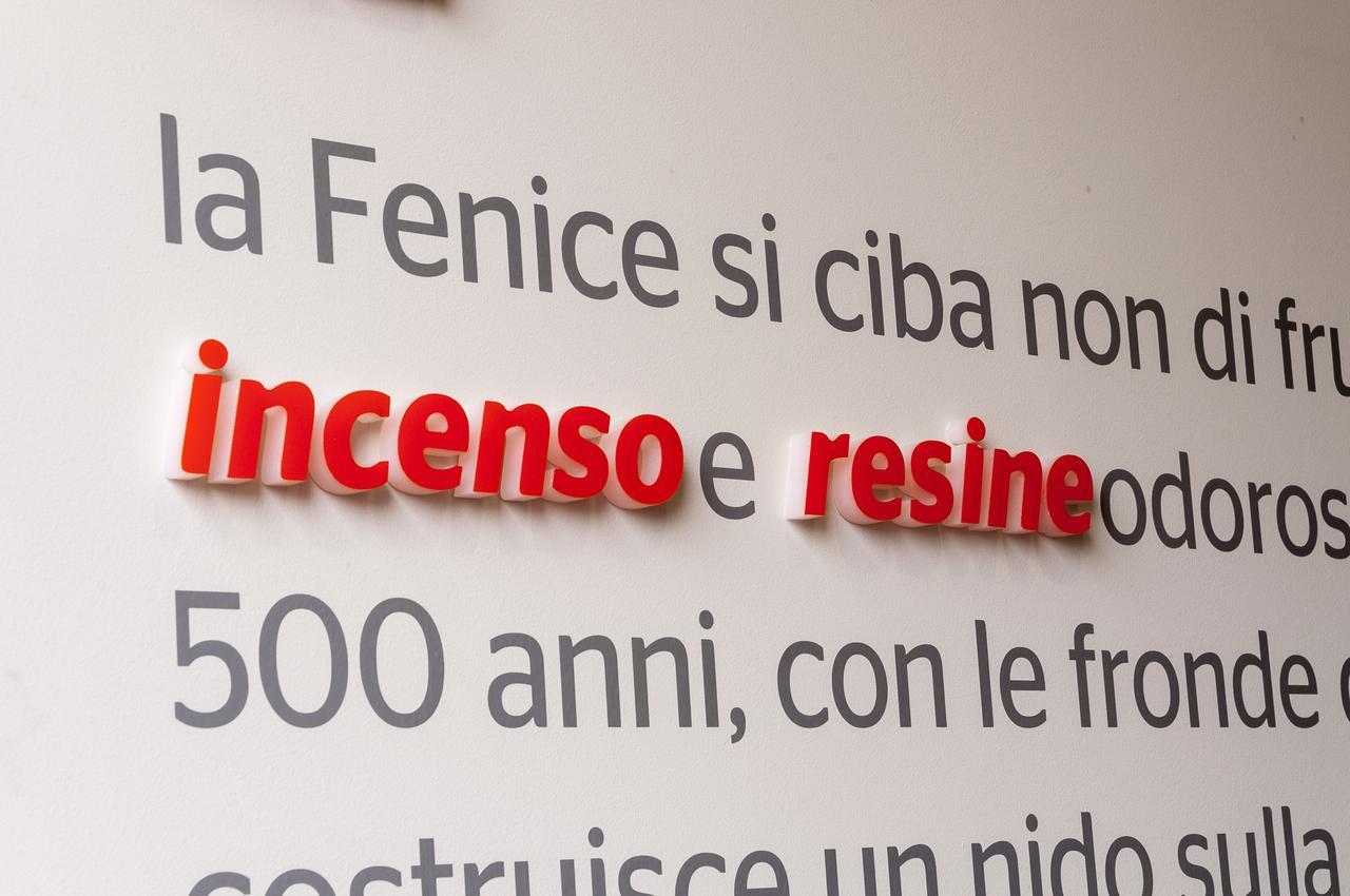 Villa Fenix Osio Sotto Kültér fotó